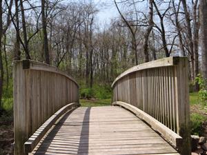 Brookside Park - wooden bridge