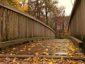 Brookside Park - wooden bridge in fall with leaves on decking