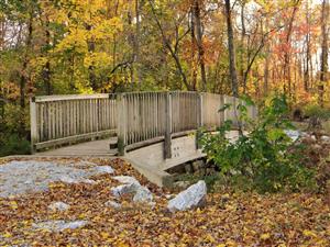 Brookside Park - wooden bridge approach in fall