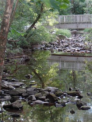 Brookside Park - view of stream looking towards wooden bridge