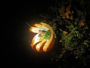 Dino Egg pumpkin