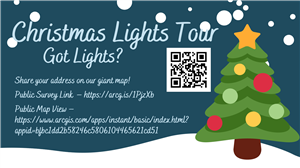 Christmas Lights 23
